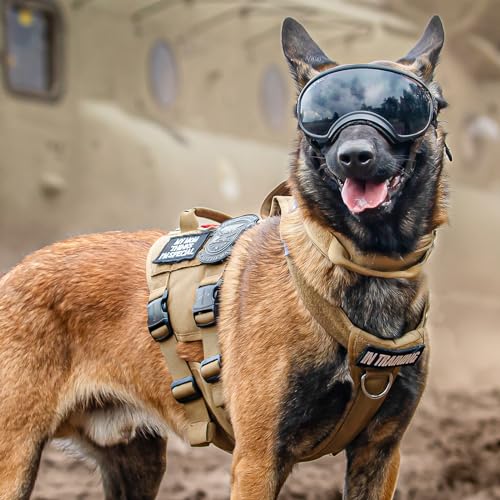 découvrez le harnais tactique pour chien 2025, alliant confort et fonctionnalité. conçu pour les aventuriers à quatre pattes, ce harnais assure un maintien optimal et une grande liberté de mouvement. idéal pour les activités en plein air et l'entraînement, il est résistant et équipé d'accessoires pratiques. offrez à votre compagnon le meilleur équipement pour des excursions sécurisées et réussies.
