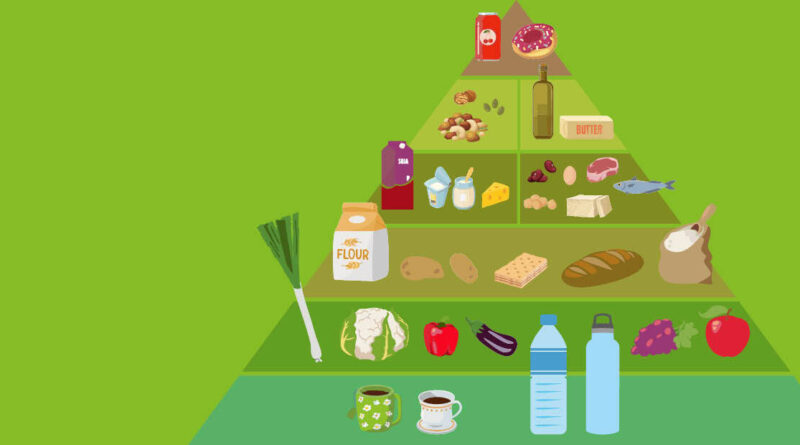 découvrez notre guide complet sur la réserve alimentaire 2025 pour assurer votre sécurité alimentaire et anticiper les besoins futurs en ressources essentielles.